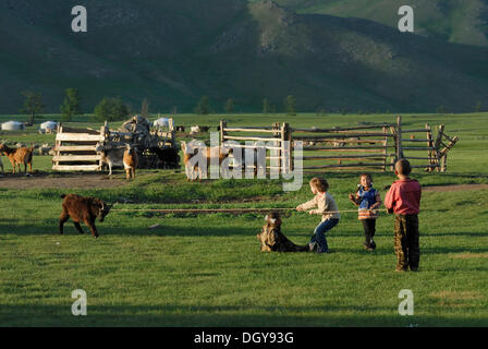 Small Mongolian children, 3, 5, and 7 years and a 4-year-old European child playing tug of war with a Mongolian goat in front of Stock Photo