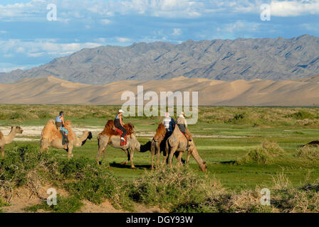 Tourists on camels stop to water the camels at a small fresh river which meanders through the lush green grass landscape in Stock Photo