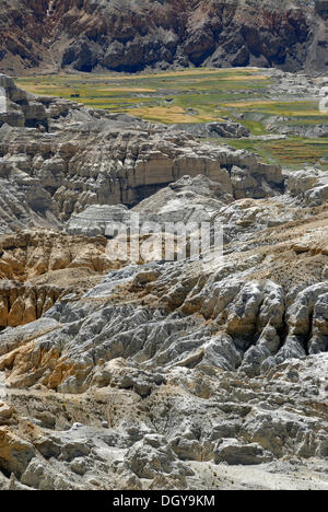 Canyon landscape around the Sutlej River, with green fields of barley and rapeseed cultivation in the ancient Kingdom of Guge in Stock Photo