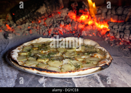 Potato and rosemary pizza baking in oven Stock Photo