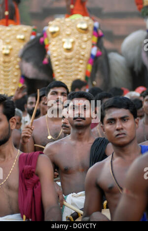 Young Brahmins, elephants decorated with gold jewellery at the back, Hindu Pooram festival, Thrissur, Kerala, southern India Stock Photo