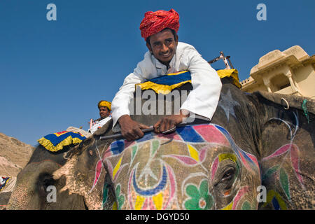 Mahout or elephant driver on a painted elephant, Amer Fort or Amber Fort, Jaipur, Rajasthan, India, Asia Stock Photo