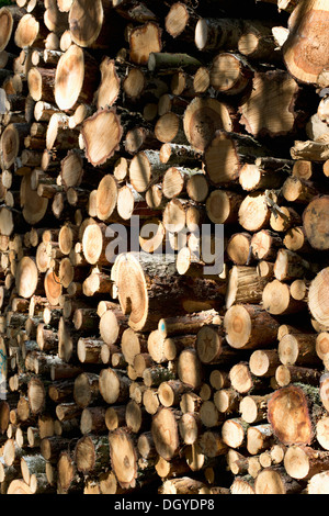 A stack of firewood, close-up, full frame Stock Photo