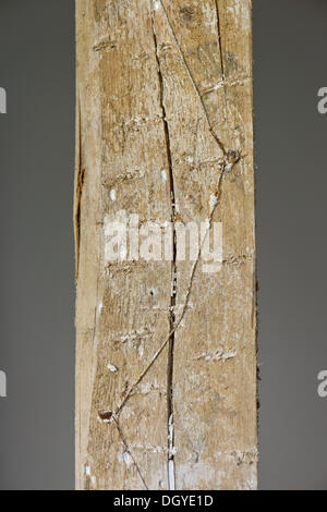 Wire mesh for fixing plaster on timbered beams, old building, Stuttgart, Baden-Wuerttemberg Stock Photo