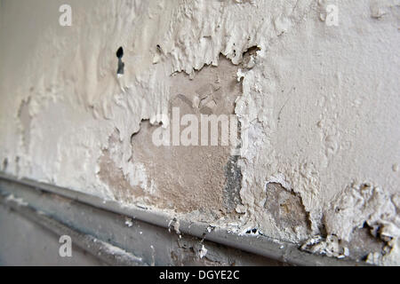 Nitre or saltpeter in masonry from penetrating moisture from the outside, flaking lime, Stuttgart, Baden-Wuerttemberg Stock Photo