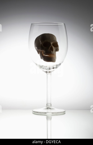 Toy skull in wine glass Stock Photo