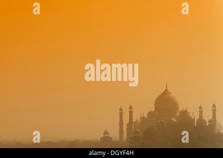 Taj Mahal in the evening light, Agra, Uttar Pradesh, India Stock Photo