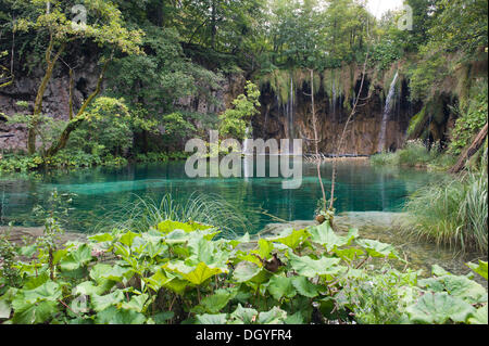 Waterfall in the Plitvice Lakes National Park, UNESCO World Heritage Site, Plitvicka Jezera, Lika-Senj, Croatia, Europe Stock Photo