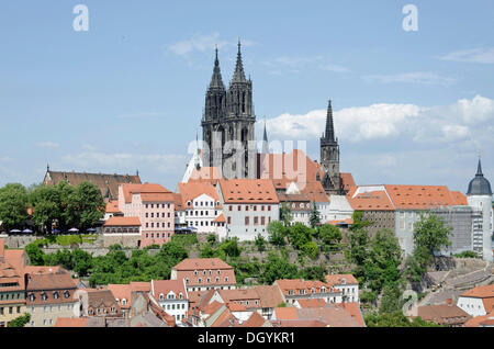 View of Meissen Cathedral, tower of Frauenkirche, Church of Our Lady, Meissen, Saxony Stock Photo
