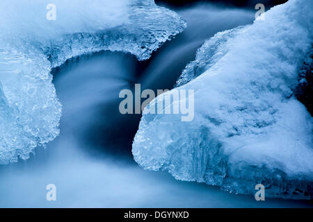 Ice formations in a mountain stream in winter, Tyrol, Austria Stock Photo