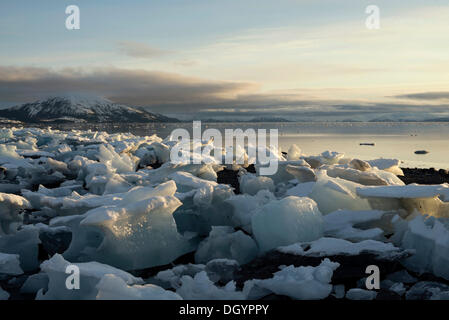 Grounded ice floes, College Fjord, Prince William Sound, Anchorage, Alaska, United States Stock Photo