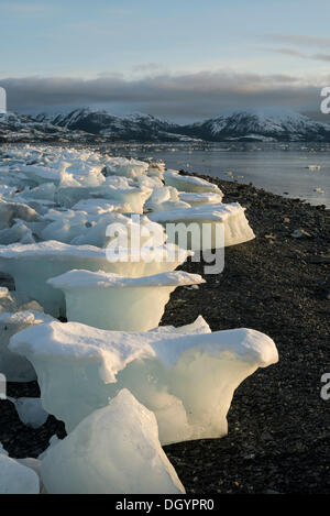 Stranded ice floes, College Fjord, Prince William Sound, Anchorage, Alaska, United States Stock Photo