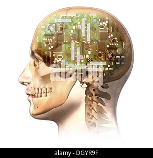 Male human head with skull and artificial electronic circuit brain in ghost effect, side view. Anatomy image. Stock Photo