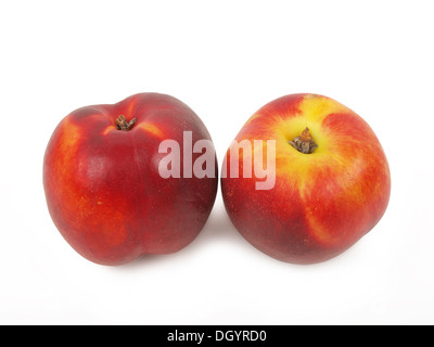 two fresh nectarines isolated on white background Stock Photo