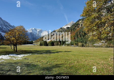 trees with autumn leaves, fallen leaves and surrounding mountains - big maple plain, Karwendel, Hinterriss, Eng, Austria Stock Photo