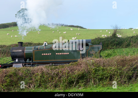 steam train near greenway halt,devon, railway, attraction, rail, engine, tourist, station, vintage, locomotive, nostalgic Stock Photo