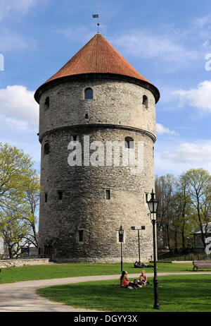 'Kiek-in-de-Koek' cannon tower, Tallinn, Estonia, Northern Europe, Europe Stock Photo