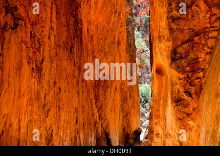 Standley Chasm in the West MacDonnell National Park, Northern Territory, Australia Stock Photo