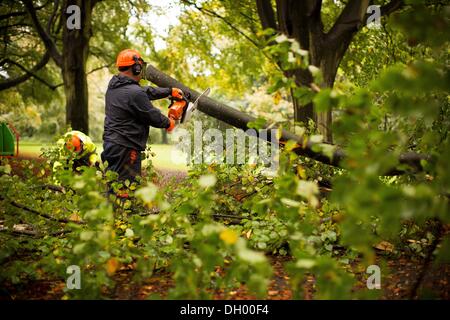 Bristol, UK 28th Oct 2013. Workers clear large fallen branches from a footpath in Clifton, Bristol following storms overnight and this morning. Gusts up to 99mph were recorded in the UK as the southern half of the country was hit by heavy storm weather. The Storm, called St Jude, brought the windiest weather to hit the UK since 1987. Credit:  Adam Gasson/Ģ����ý Live News Stock Photo