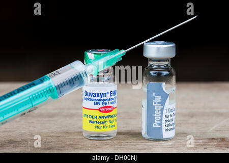 Herpes vaccine and influenza vaccine for horses, bottles of serum and an injection needle Stock Photo
