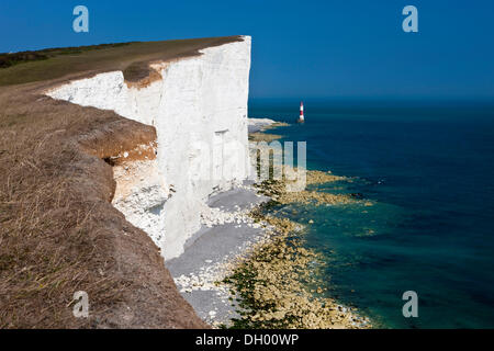 Lighthouse and white limestone cliffs at Beachy Head, Seven Sisters Country Park, East Sussex, England, United Kingdom Stock Photo