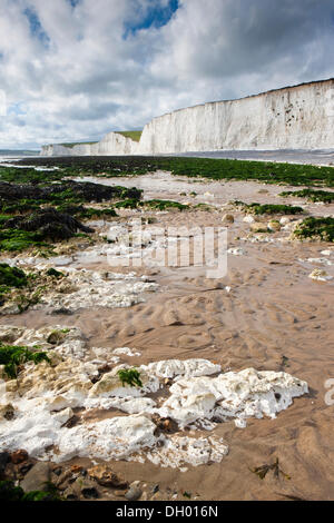 White Chalk Cliffs the Seven Sisters at Birling Gap near Eastbourne in ...