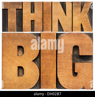 think big motivational phrase - isolated text abstract - letterpress wood type printing blocks scaled to a rectangle Stock Photo