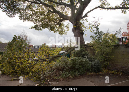 Clapham Common, London, UK. 28th Oct 2013. Morning of and after wind and storms, Tree trunk Blown Over Boundary Fence Between Properties. Credit:  M.Sobreira/Alamy Live News Stock Photo