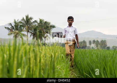 Indian teenage school boy walking across a rice paddy going to school. Andhra Pradesh, India Stock Photo