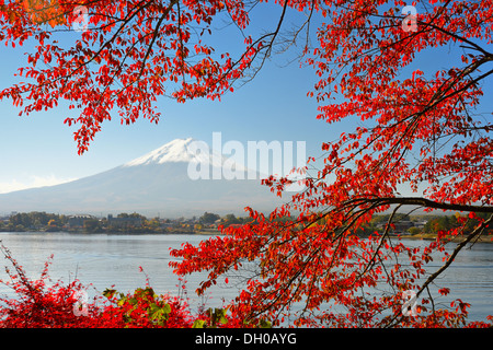 Mt Fuji in the Fall season. Stock Photo