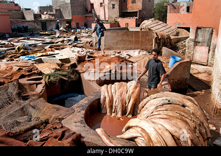 Tanneries ( Tannery )  Leather and skin processing outdoor tanning vats north of Medina district Marrakech  Morocco North Africa Stock Photo