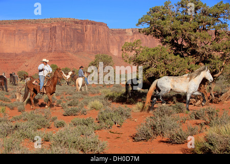 Navajo cowboys with Mustangs, Utah, United States Stock Photo, Royalty ...