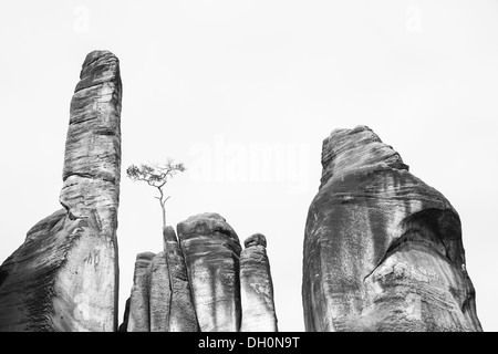 Sandstones in Czech republic Stock Photo