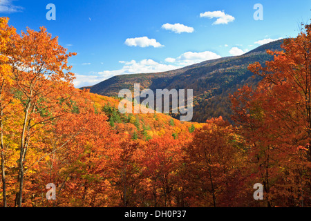 Colorful autumn foliage in Kaaterskill Clove in the Catskills Mountains of New York Stock Photo