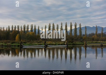 Burnaby lake, Burnaby, BC, Canada Stock Photo