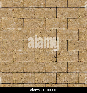 Seamless Tileable Texture of Coquina Wall. Stock Photo