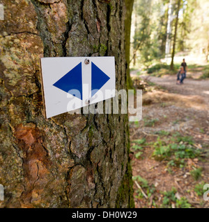 Sign on a tree trunk, trail
