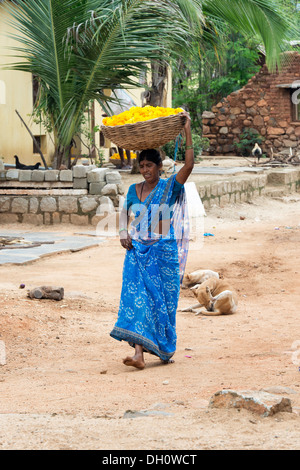 Rural Indian village woman carrying a basket of marigold flowers on her head in an Indian village.  Andhra Pradesh, India Stock Photo