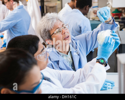 Teacher and students working in science lab Stock Photo