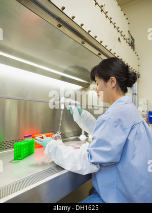 Vietnamese scientist working in laboratory Stock Photo