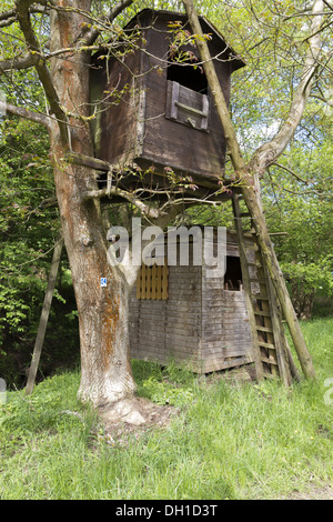 tree house Stock Photo