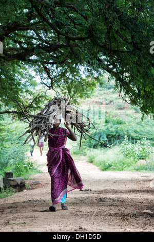 Rural Indian village woman carrying cut firewood on her head in the Indian countryside. Andhra Pradesh, India Stock Photo