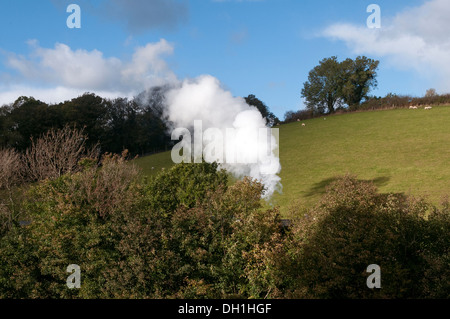 steam train near greenway halt,devon, railway, attraction, rail, engine, tourist, station, vintage, locomotive, nostalgic Stock Photo