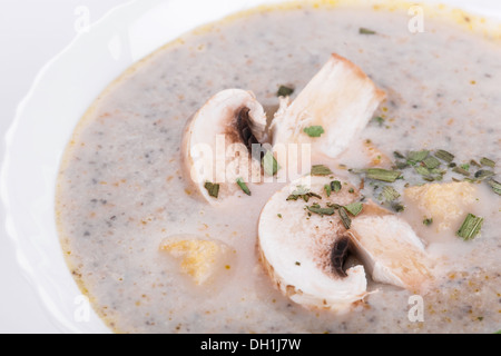 Mushrooms cream soup with agaric, closeup on white background Stock Photo