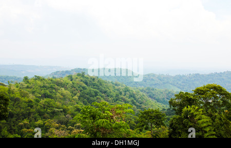 Morning Mist at Tropical Mountain Range,Thailand Stock Photo