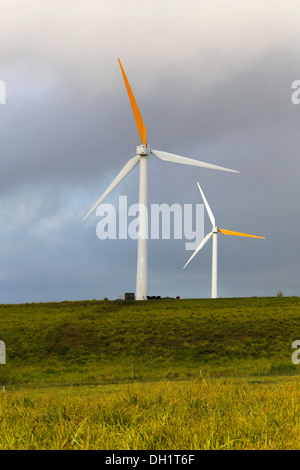 Wind farm, Kohala Coast, Big Island, Hawaii, USA Stock Photo