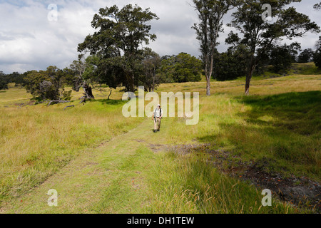 Hikers in the new Kahuku Unit of Hawaii Volcanoes National Park, Big Island, Hawaii, USA Stock Photo