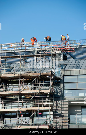 Roofers working on Scaffolding safety Harnesses Stock Photo