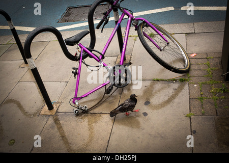 partially dismantled bicycle locked up and pigeon Stock Photo