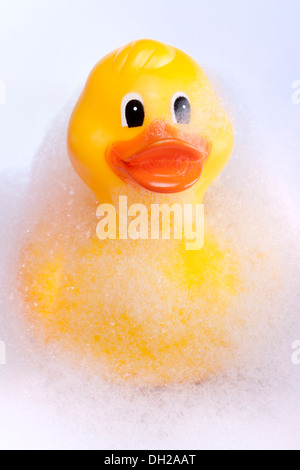 Yellow rubber duck Stock Photo